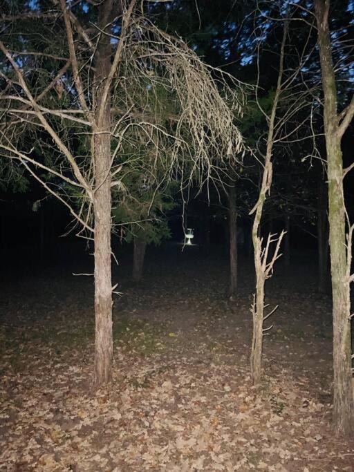 Villa Bastrop Tiny Disc Golf Retreat Extérieur photo