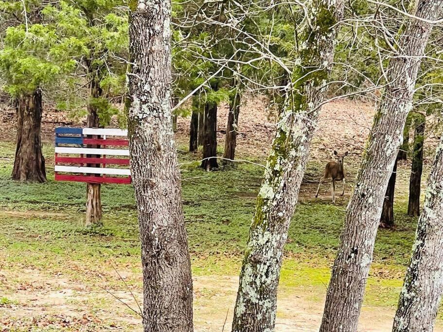 Villa Bastrop Tiny Disc Golf Retreat Extérieur photo
